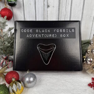 Fossil Advent Calendar (25 Day)